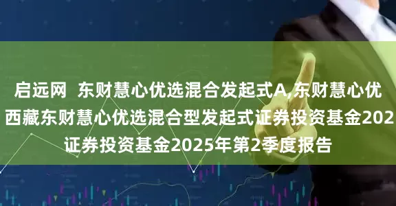 启远网 东财慧心优选混合发起式A,东财慧心优选混合发起式C: 西藏东财慧心优选混合型发起式证券投资基金2025年第2季度报告