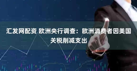 汇发网配资 欧洲央行调查：欧洲消费者因美国关税削减支出